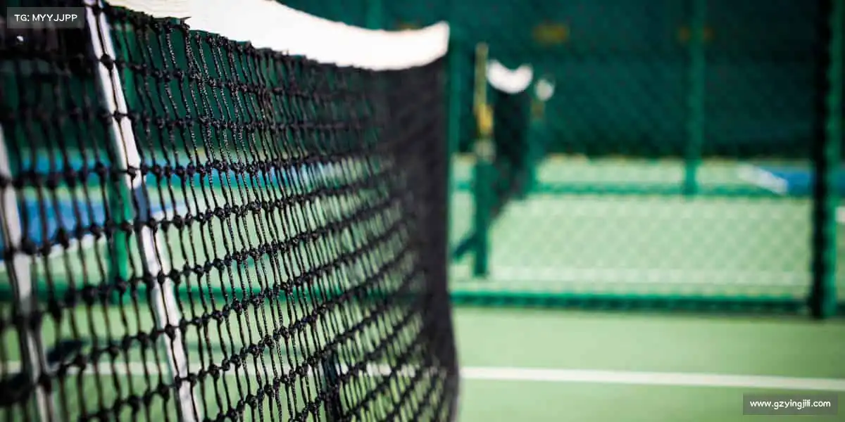 为什么选择我们